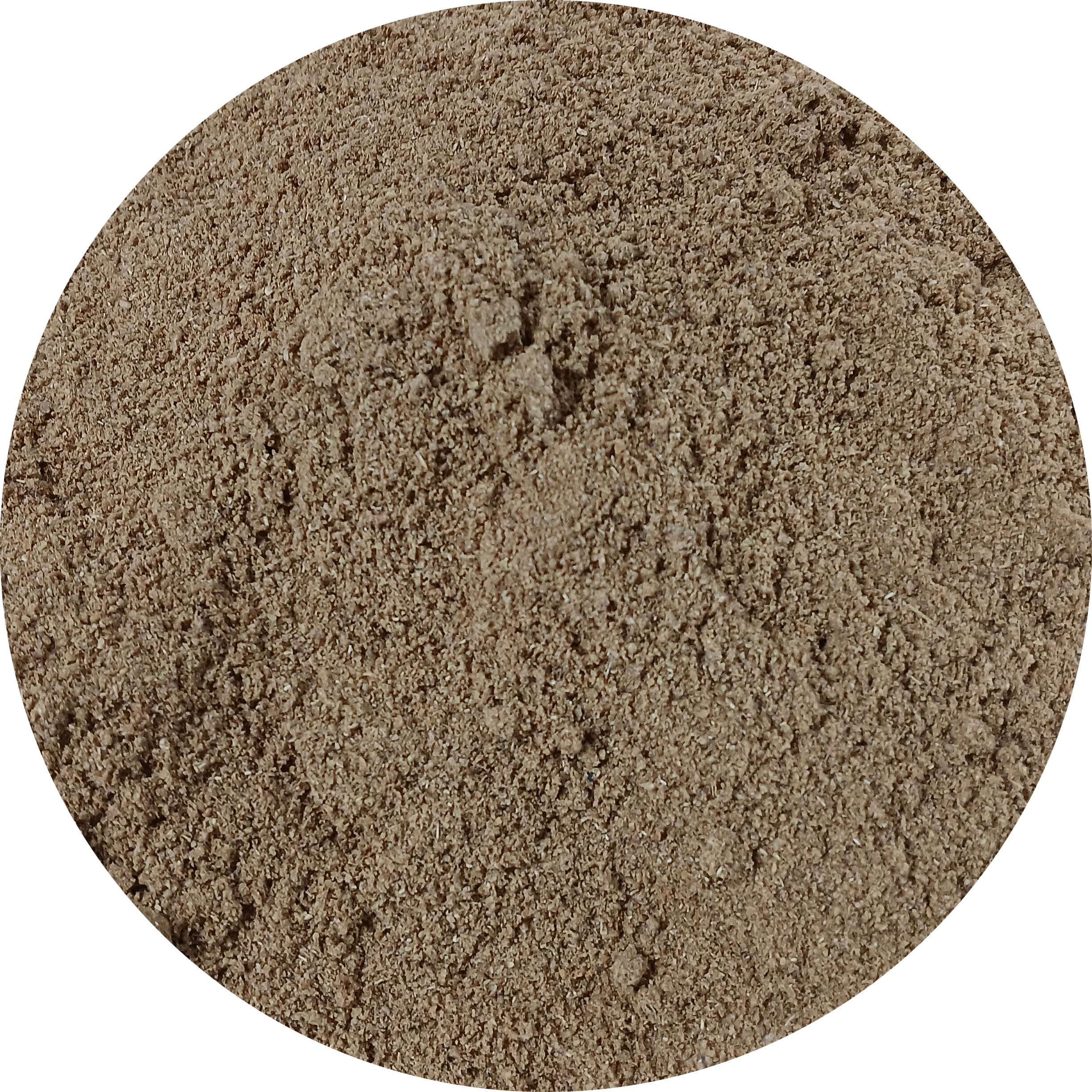 Oude Wijven Koekkruiden